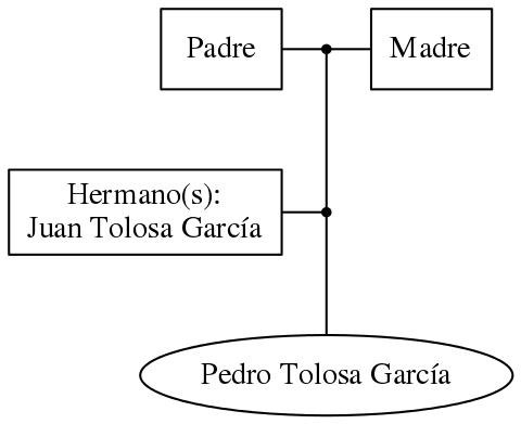 This is a graph with borders and nodes. Maybe there is an Imagemap used so the nodes may be linking to some Pages.