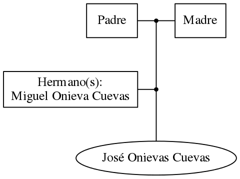 This is a graph with borders and nodes. Maybe there is an Imagemap used so the nodes may be linking to some Pages.