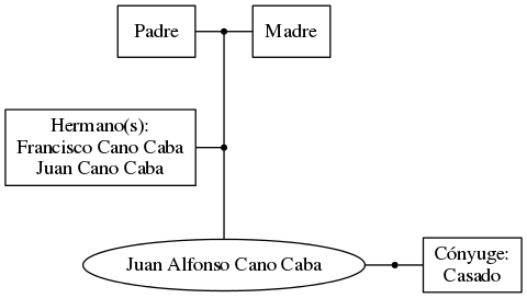 This is a graph with borders and nodes. Maybe there is an Imagemap used so the nodes may be linking to some Pages.