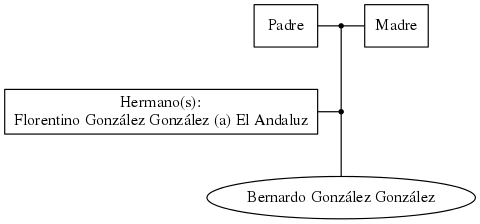 This is a graph with borders and nodes. Maybe there is an Imagemap used so the nodes may be linking to some Pages.