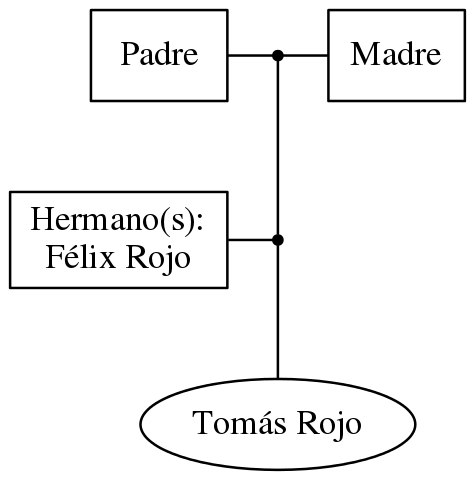 This is a graph with borders and nodes. Maybe there is an Imagemap used so the nodes may be linking to some Pages.