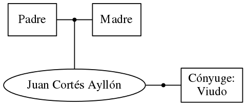 This is a graph with borders and nodes. Maybe there is an Imagemap used so the nodes may be linking to some Pages.