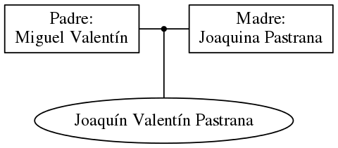 This is a graph with borders and nodes. Maybe there is an Imagemap used so the nodes may be linking to some Pages.