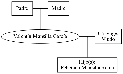 This is a graph with borders and nodes. Maybe there is an Imagemap used so the nodes may be linking to some Pages.