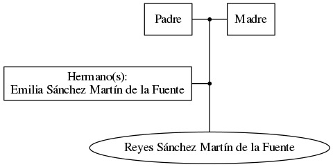 This is a graph with borders and nodes. Maybe there is an Imagemap used so the nodes may be linking to some Pages.