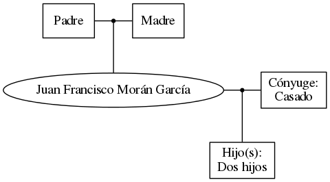 This is a graph with borders and nodes. Maybe there is an Imagemap used so the nodes may be linking to some Pages.