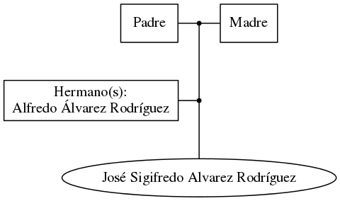 This is a graph with borders and nodes. Maybe there is an Imagemap used so the nodes may be linking to some Pages.