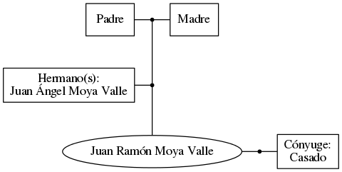 This is a graph with borders and nodes. Maybe there is an Imagemap used so the nodes may be linking to some Pages.