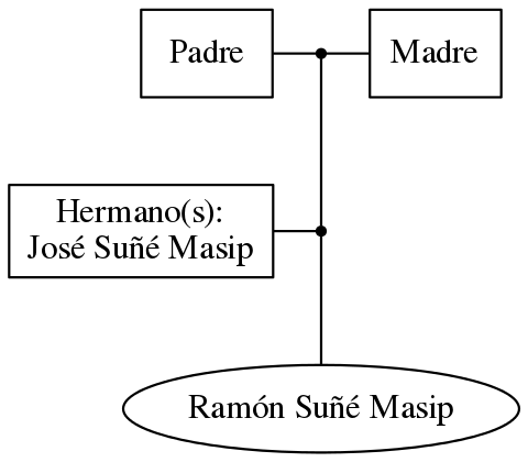 This is a graph with borders and nodes. Maybe there is an Imagemap used so the nodes may be linking to some Pages.