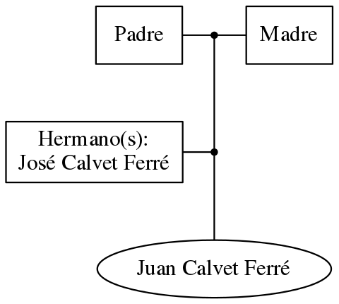 This is a graph with borders and nodes. Maybe there is an Imagemap used so the nodes may be linking to some Pages.