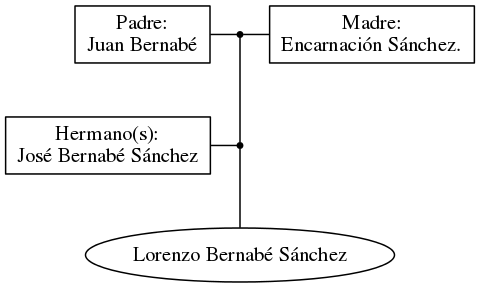 This is a graph with borders and nodes. Maybe there is an Imagemap used so the nodes may be linking to some Pages.