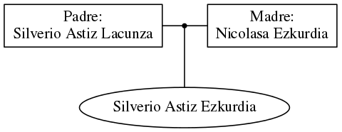 This is a graph with borders and nodes. Maybe there is an Imagemap used so the nodes may be linking to some Pages.