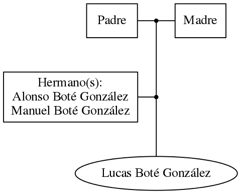 This is a graph with borders and nodes. Maybe there is an Imagemap used so the nodes may be linking to some Pages.