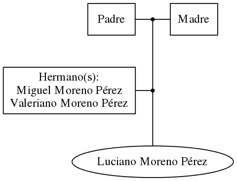 This is a graph with borders and nodes. Maybe there is an Imagemap used so the nodes may be linking to some Pages.