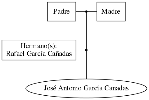 This is a graph with borders and nodes. Maybe there is an Imagemap used so the nodes may be linking to some Pages.