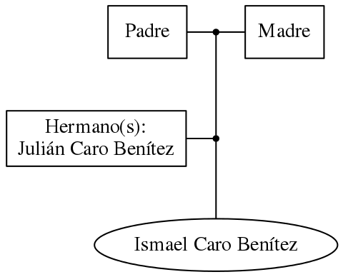 This is a graph with borders and nodes. Maybe there is an Imagemap used so the nodes may be linking to some Pages.