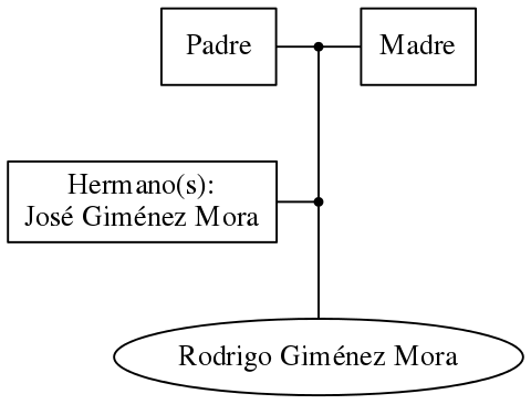 This is a graph with borders and nodes. Maybe there is an Imagemap used so the nodes may be linking to some Pages.