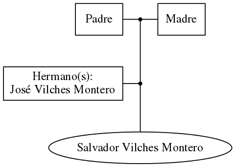 This is a graph with borders and nodes. Maybe there is an Imagemap used so the nodes may be linking to some Pages.