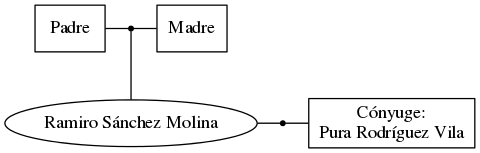 This is a graph with borders and nodes. Maybe there is an Imagemap used so the nodes may be linking to some Pages.