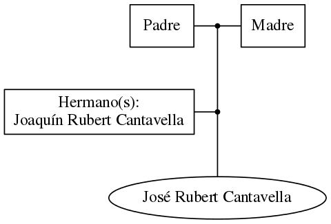 This is a graph with borders and nodes. Maybe there is an Imagemap used so the nodes may be linking to some Pages.