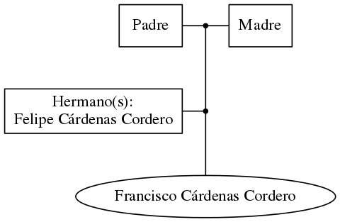 This is a graph with borders and nodes. Maybe there is an Imagemap used so the nodes may be linking to some Pages.