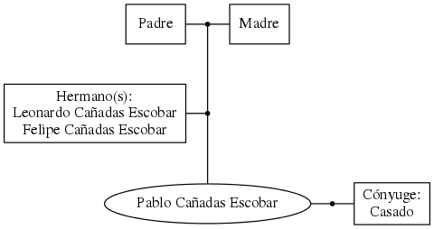 This is a graph with borders and nodes. Maybe there is an Imagemap used so the nodes may be linking to some Pages.