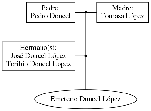 This is a graph with borders and nodes. Maybe there is an Imagemap used so the nodes may be linking to some Pages.