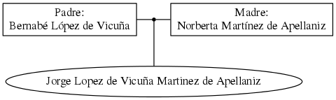 This is a graph with borders and nodes. Maybe there is an Imagemap used so the nodes may be linking to some Pages.