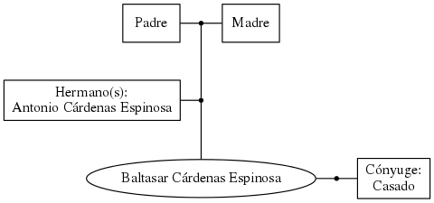 This is a graph with borders and nodes. Maybe there is an Imagemap used so the nodes may be linking to some Pages.