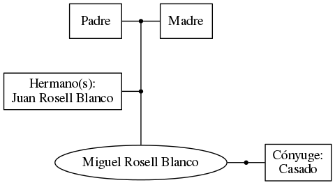 This is a graph with borders and nodes. Maybe there is an Imagemap used so the nodes may be linking to some Pages.