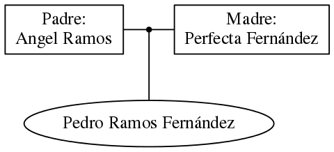 This is a graph with borders and nodes. Maybe there is an Imagemap used so the nodes may be linking to some Pages.