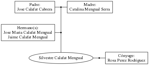 This is a graph with borders and nodes. Maybe there is an Imagemap used so the nodes may be linking to some Pages.