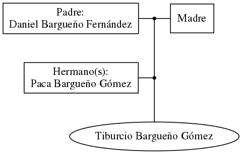 This is a graph with borders and nodes. Maybe there is an Imagemap used so the nodes may be linking to some Pages.