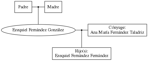 This is a graph with borders and nodes. Maybe there is an Imagemap used so the nodes may be linking to some Pages.