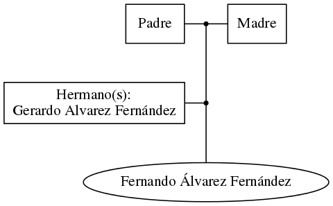 This is a graph with borders and nodes. Maybe there is an Imagemap used so the nodes may be linking to some Pages.