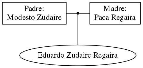 This is a graph with borders and nodes. Maybe there is an Imagemap used so the nodes may be linking to some Pages.