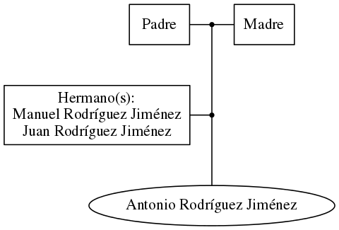 This is a graph with borders and nodes. Maybe there is an Imagemap used so the nodes may be linking to some Pages.