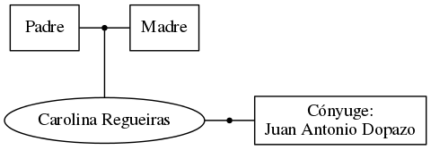 This is a graph with borders and nodes. Maybe there is an Imagemap used so the nodes may be linking to some Pages.