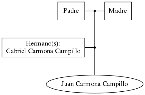 This is a graph with borders and nodes. Maybe there is an Imagemap used so the nodes may be linking to some Pages.