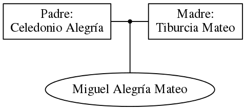 This is a graph with borders and nodes. Maybe there is an Imagemap used so the nodes may be linking to some Pages.