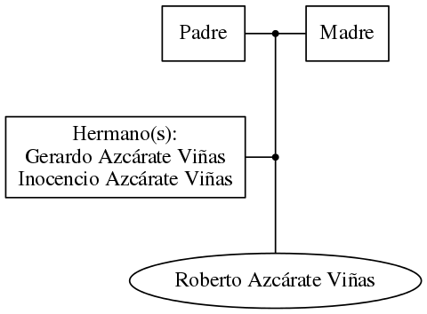 This is a graph with borders and nodes. Maybe there is an Imagemap used so the nodes may be linking to some Pages.