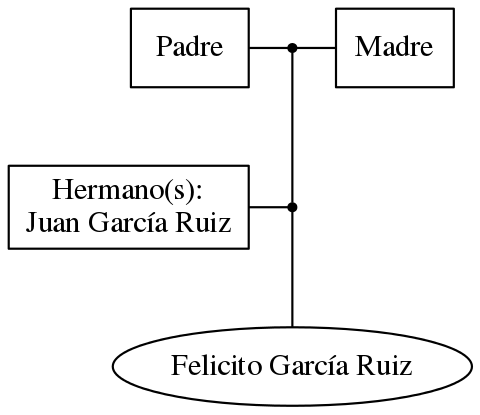 This is a graph with borders and nodes. Maybe there is an Imagemap used so the nodes may be linking to some Pages.