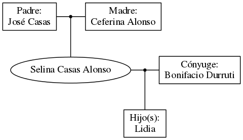 This is a graph with borders and nodes. Maybe there is an Imagemap used so the nodes may be linking to some Pages.