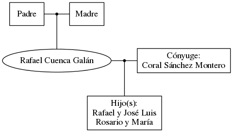 This is a graph with borders and nodes. Maybe there is an Imagemap used so the nodes may be linking to some Pages.