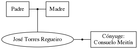 This is a graph with borders and nodes. Maybe there is an Imagemap used so the nodes may be linking to some Pages.