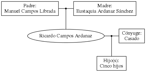 This is a graph with borders and nodes. Maybe there is an Imagemap used so the nodes may be linking to some Pages.