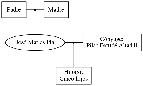 This is a graph with borders and nodes. Maybe there is an Imagemap used so the nodes may be linking to some Pages.