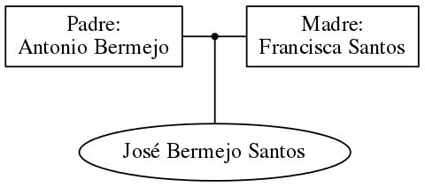 This is a graph with borders and nodes. Maybe there is an Imagemap used so the nodes may be linking to some Pages.