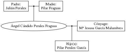 This is a graph with borders and nodes. Maybe there is an Imagemap used so the nodes may be linking to some Pages.