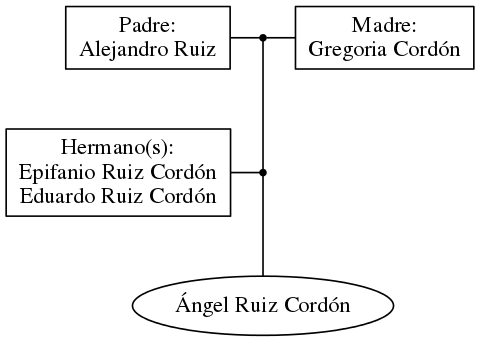 This is a graph with borders and nodes. Maybe there is an Imagemap used so the nodes may be linking to some Pages.